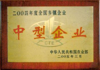 National medium-sized enterprises of township and village enterprises