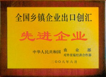 National advanced enterprise of exporting foreign exchange for township enterprises