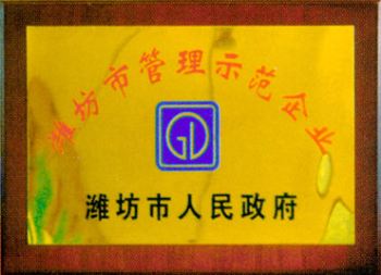 Weifang City Management Demonstration Enterprise