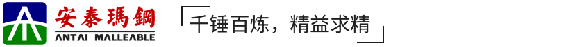 潍坊安泰玛钢有限公司